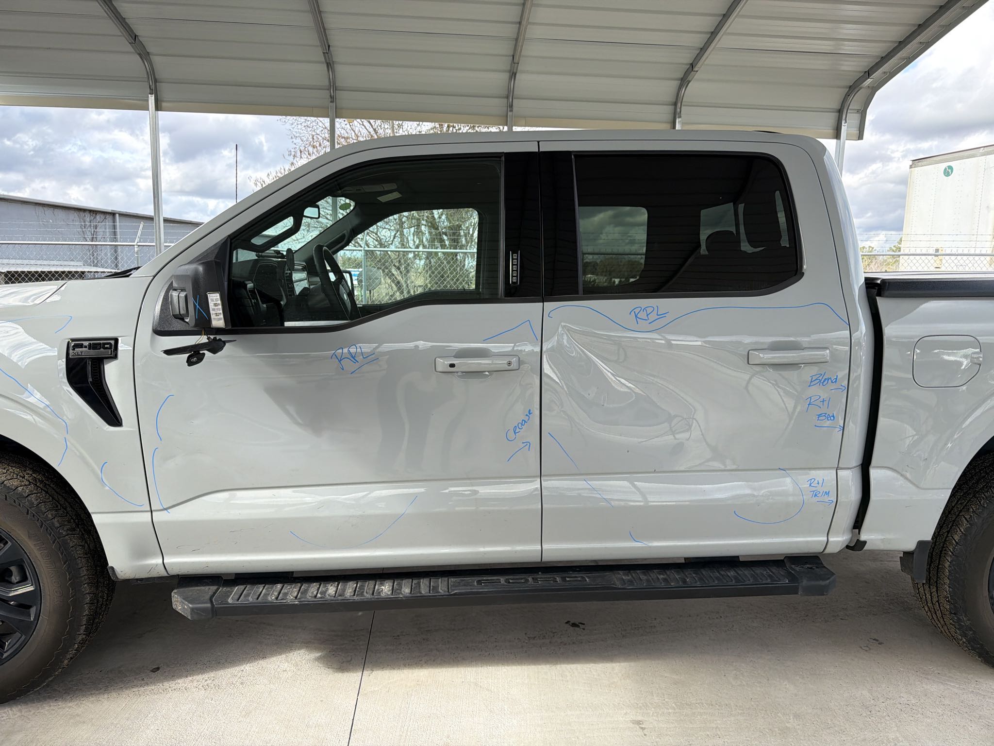 What to Do After Hitting a Deer in North Florida